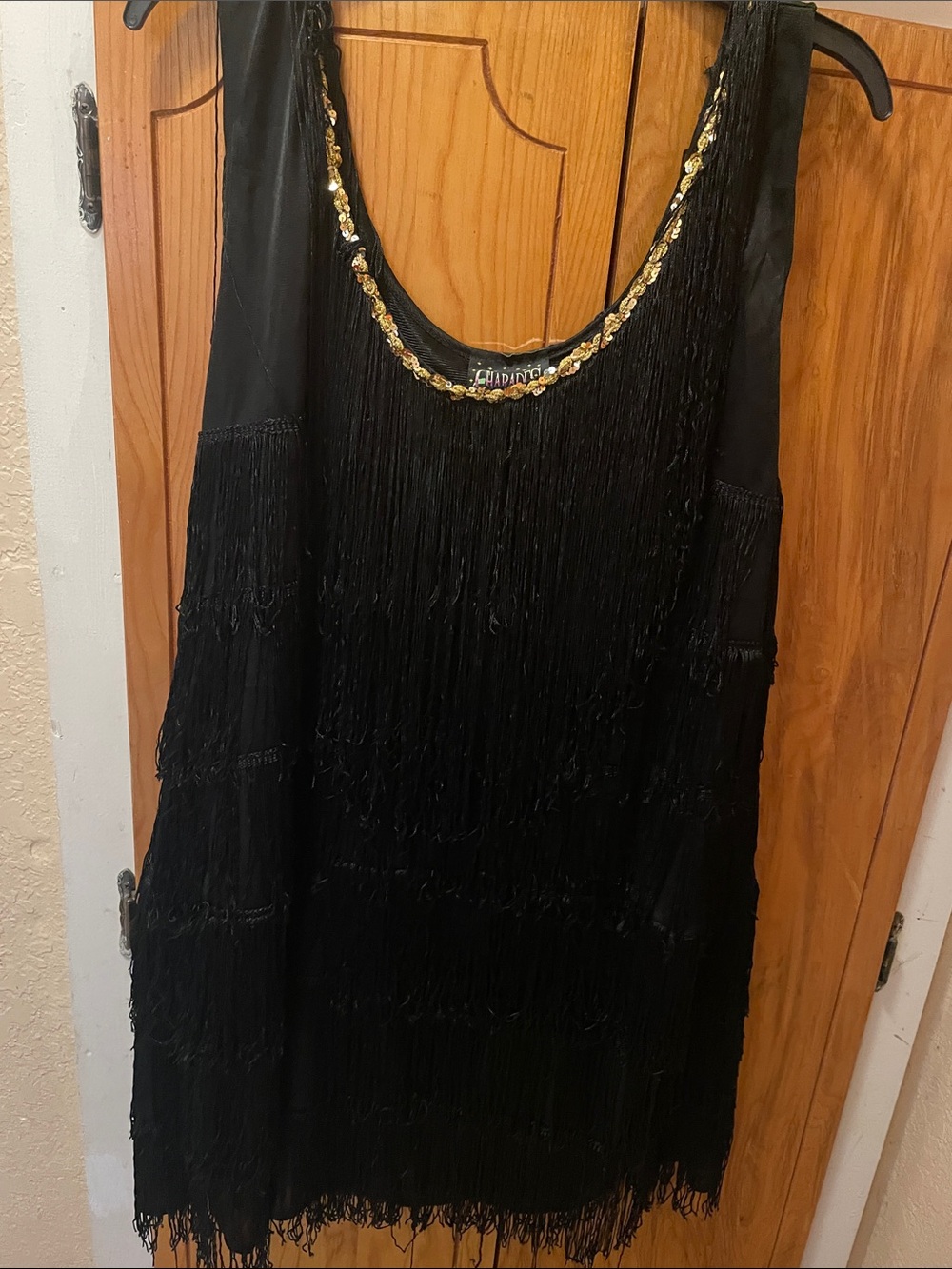 Black Fringe Mini Dress with Gold-Trimmed Neckline